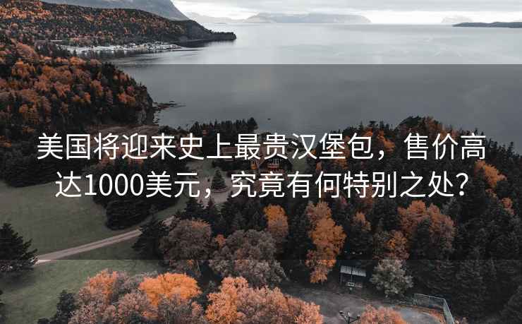 美國將迎來史上最貴漢堡包，售價高達1000美元，究竟有何特別之處？
