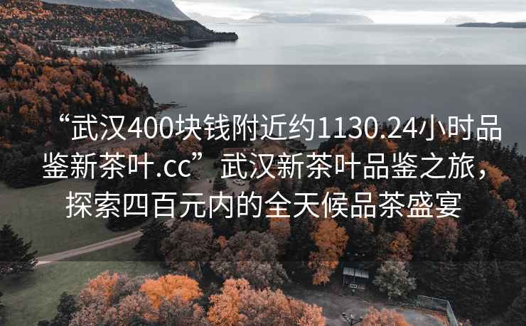 “武漢400塊錢附近約1130.24小時品鑒新茶葉.cc”武漢新茶葉品鑒之旅，探索四百元內(nèi)的全天候品茶盛宴