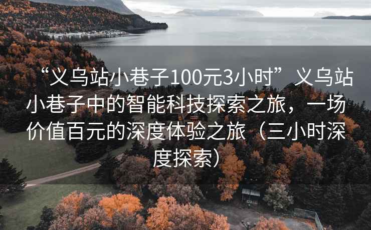 “義烏站小巷子100元3小時(shí)”義烏站小巷子中的智能科技探索之旅，一場(chǎng)價(jià)值百元的深度體驗(yàn)之旅（三小時(shí)深度探索）