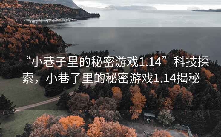 “小巷子里的秘密游戲1.14”科技探索，小巷子里的秘密游戲1.14揭秘
