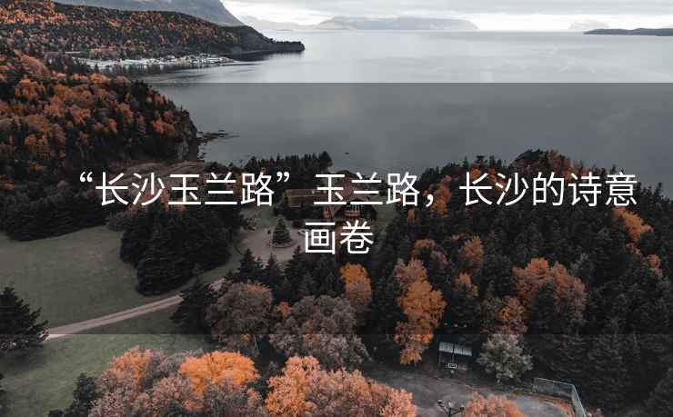 “長沙玉蘭路”玉蘭路，長沙的詩意畫卷