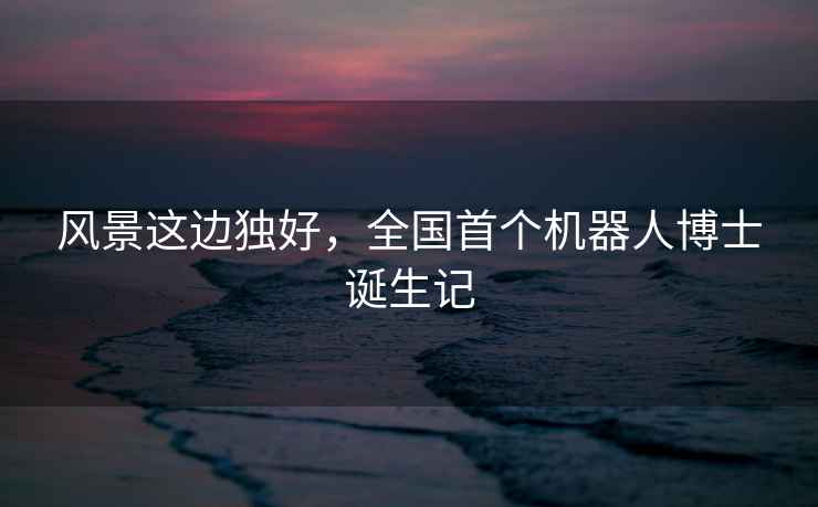 風(fēng)景這邊獨好，全國首個機器人博士誕生記