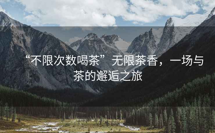 “不限次數(shù)喝茶”無(wú)限茶香，一場(chǎng)與茶的邂逅之旅