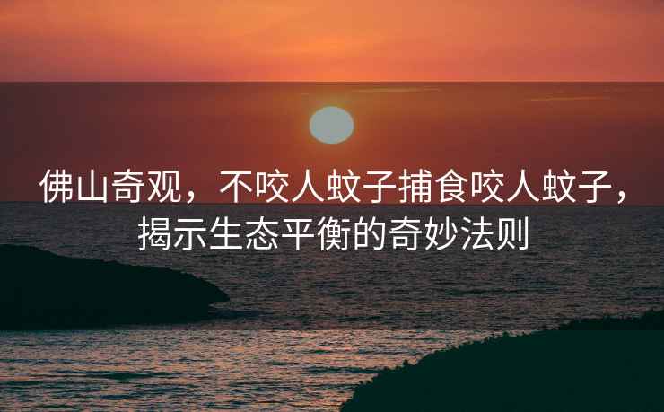 佛山奇觀，不咬人蚊子捕食咬人蚊子，揭示生態(tài)平衡的奇妙法則