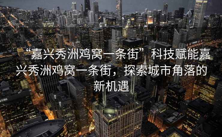 “嘉興秀洲雞窩一條街”科技賦能嘉興秀洲雞窩一條街，探索城市角落的新機遇
