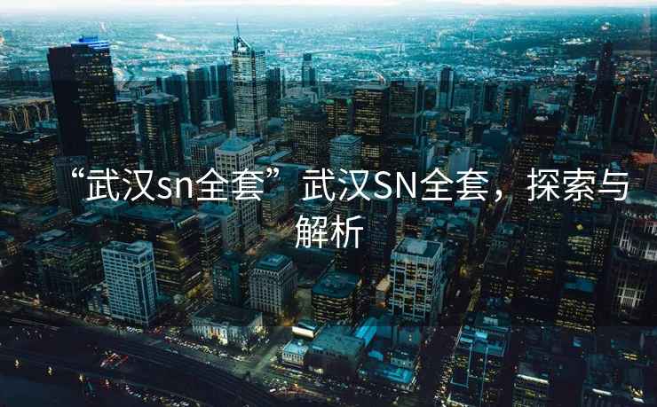 “武漢sn全套”武漢SN全套，探索與解析