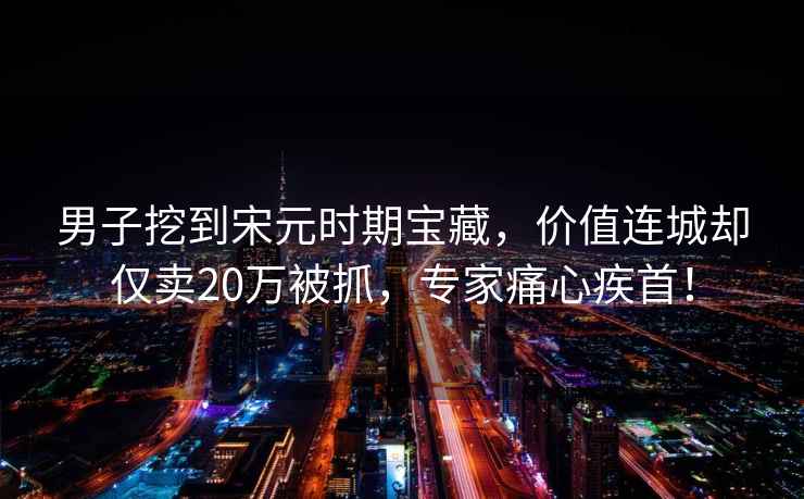 男子挖到宋元時期寶藏，價值連城卻僅賣20萬被抓，專家痛心疾首！