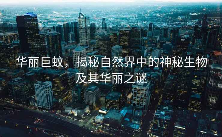 華麗巨蚊，揭秘自然界中的神秘生物及其華麗之謎