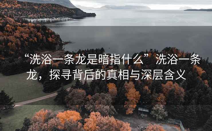 “洗浴一條龍是暗指什么”洗浴一條龍，探尋背后的真相與深層含義