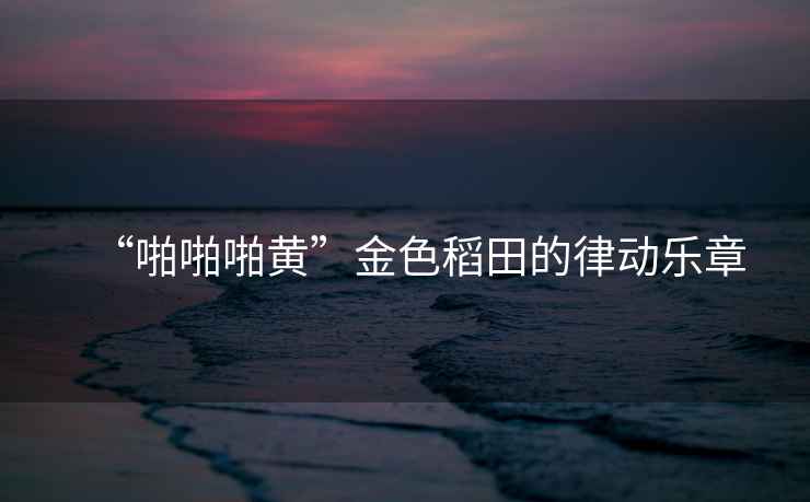 “啪啪啪黃”金色稻田的律動樂章
