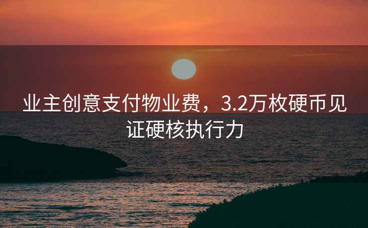 業(yè)主創(chuàng)意支付物業(yè)費(fèi)，3.2萬枚硬幣見證硬核執(zhí)行力