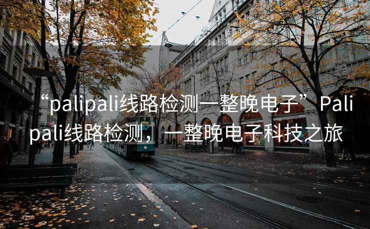 “palipali線路檢測一整晚電子”Palipali線路檢測，一整晚電子科技之旅