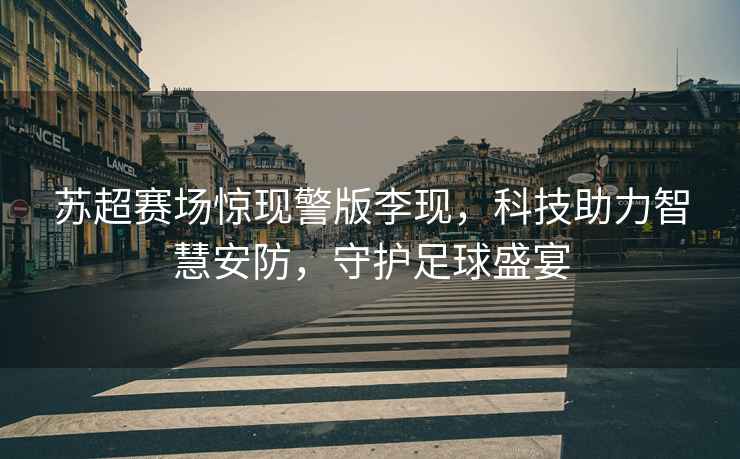 蘇超賽場驚現(xiàn)警版李現(xiàn)，科技助力智慧安防，守護足球盛宴