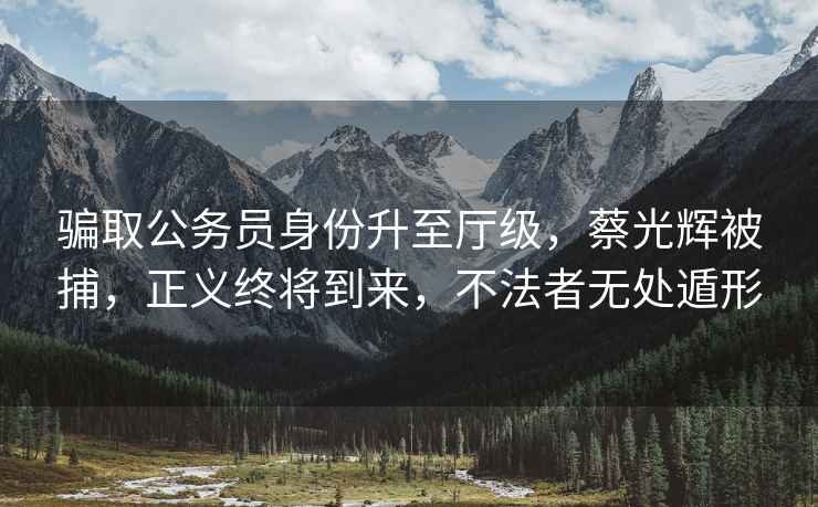 騙取公務(wù)員身份升至廳級，蔡光輝被捕，正義終將到來，不法者無處遁形