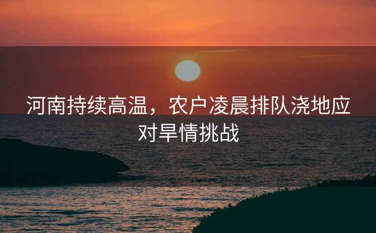 河南持續(xù)高溫，農(nóng)戶凌晨排隊澆地應(yīng)對旱情挑戰(zhàn)