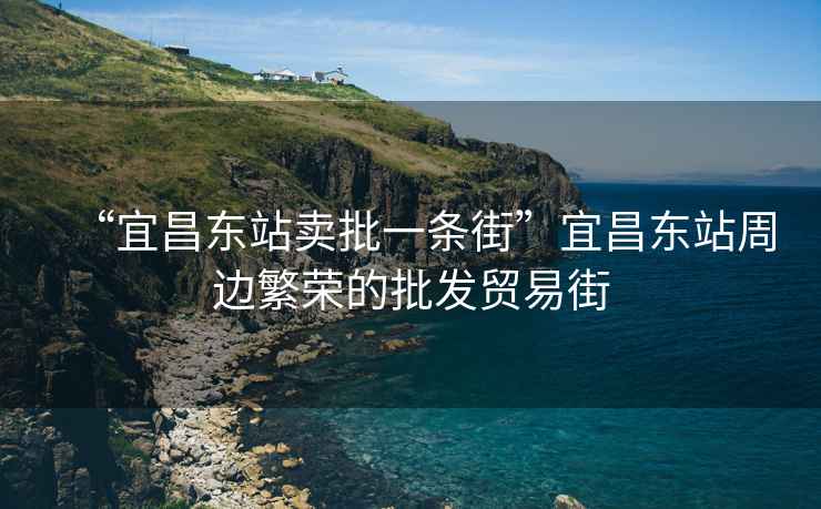 “宜昌東站賣批一條街”宜昌東站周邊繁榮的批發(fā)貿(mào)易街