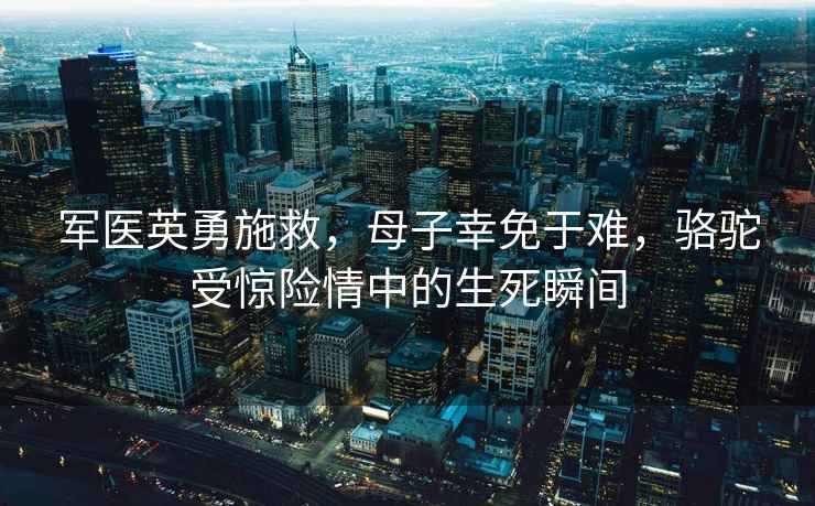 軍醫(yī)英勇施救，母子幸免于難，駱駝受驚險情中的生死瞬間