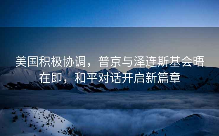 美國積極協(xié)調(diào)，普京與澤連斯基會(huì)晤在即，和平對(duì)話開啟新篇章