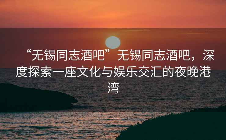 “無錫同志酒吧”無錫同志酒吧，深度探索一座文化與娛樂交匯的夜晚港灣