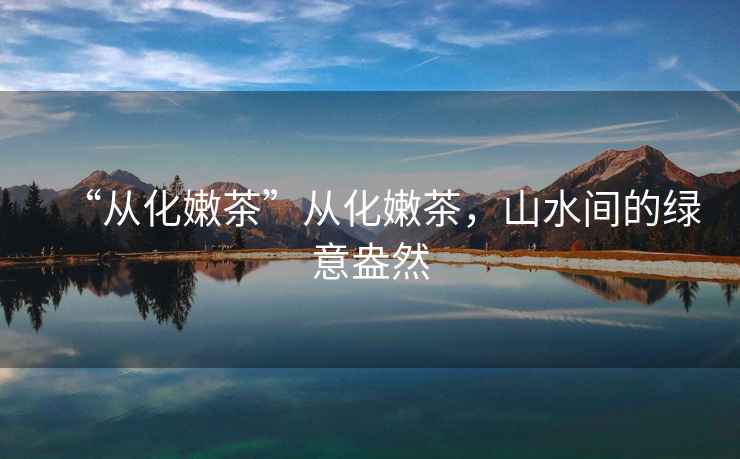 “從化嫩茶”從化嫩茶，山水間的綠意盎然