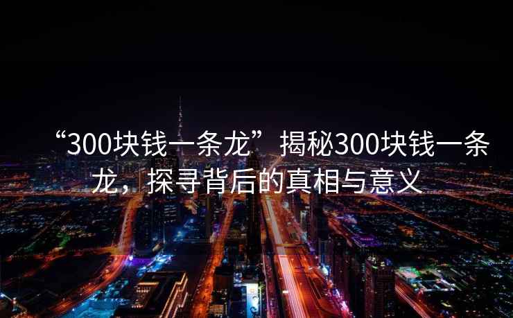 “300塊錢一條龍”揭秘300塊錢一條龍，探尋背后的真相與意義