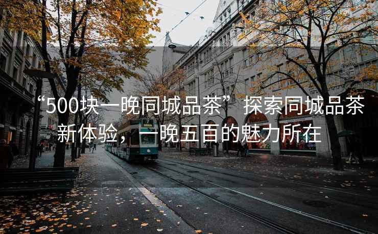 “500塊一晚同城品茶”探索同城品茶新體驗，一晚五百的魅力所在