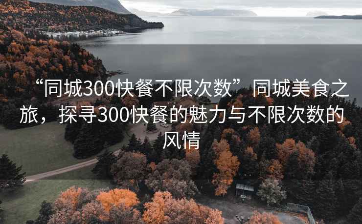 “同城300快餐不限次數(shù)”同城美食之旅，探尋300快餐的魅力與不限次數(shù)的風(fēng)情