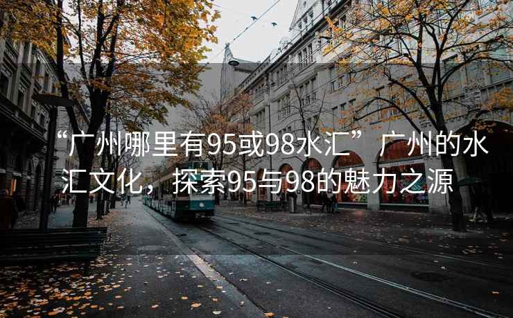 “廣州哪里有95或98水匯”廣州的水匯文化，探索95與98的魅力之源