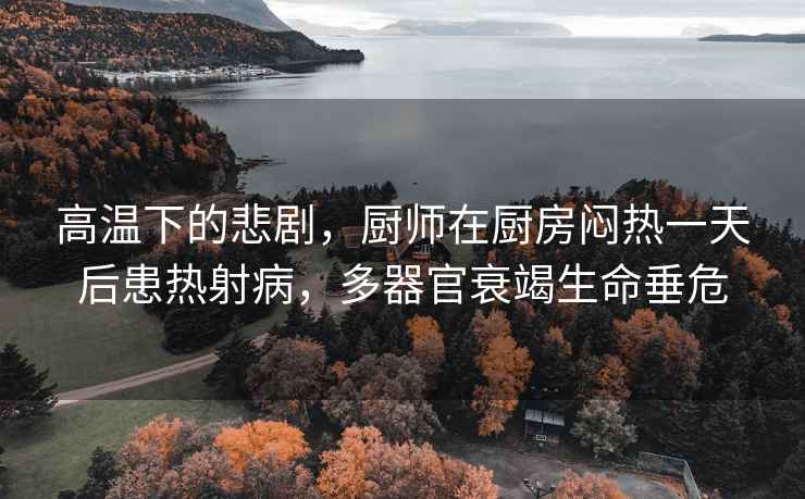 高溫下的悲劇，廚師在廚房悶熱一天后患熱射病，多器官衰竭生命垂危