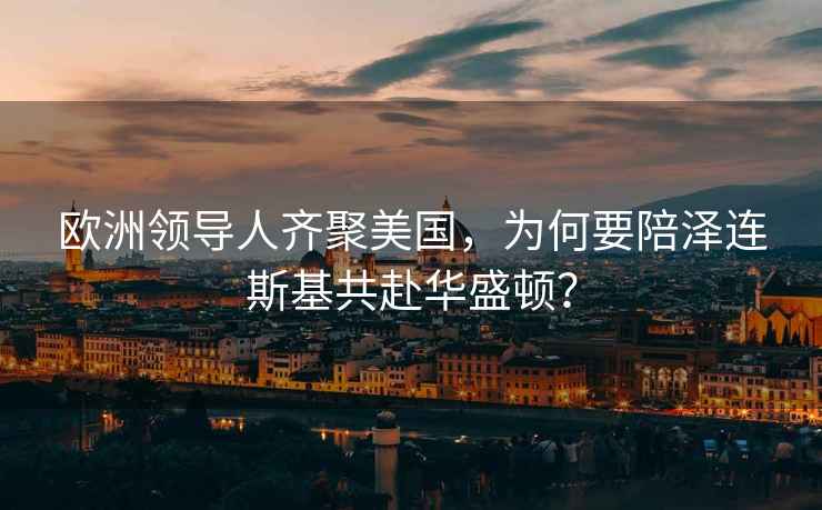 歐洲領(lǐng)導(dǎo)人齊聚美國(guó)，為何要陪澤連斯基共赴華盛頓？