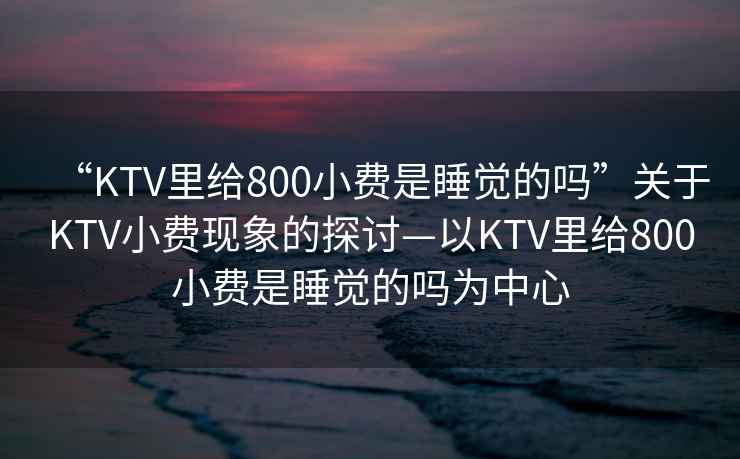 “KTV里給800小費(fèi)是睡覺(jué)的嗎”關(guān)于KTV小費(fèi)現(xiàn)象的探討—以KTV里給800小費(fèi)是睡覺(jué)的嗎為中心