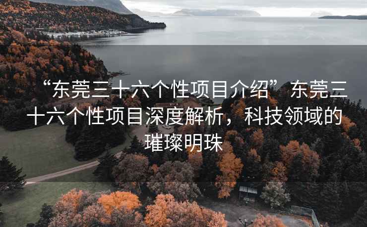 “東莞三十六個性項目介紹”東莞三十六個性項目深度解析，科技領域的璀璨明珠