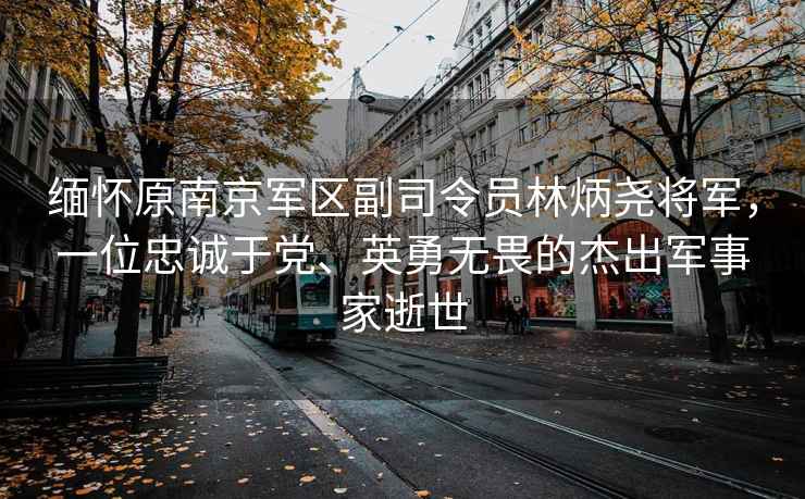 緬懷原南京軍區(qū)副司令員林炳堯?qū)④?，一位忠誠于黨、英勇無畏的杰出軍事家逝世