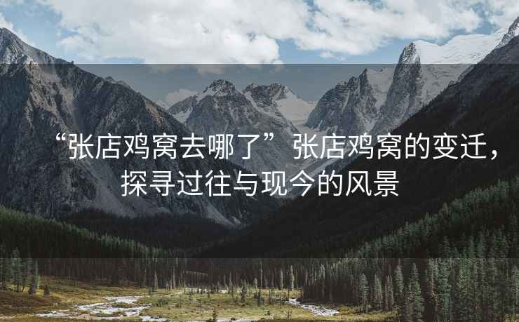 “張店雞窩去哪了”張店雞窩的變遷，探尋過往與現(xiàn)今的風(fēng)景
