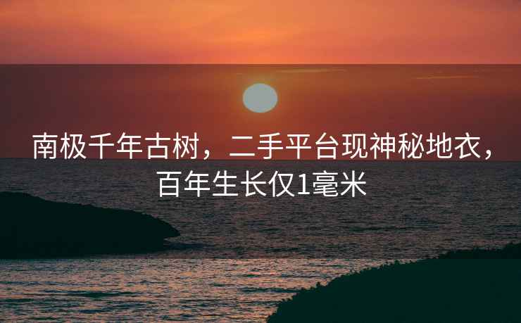 南極千年古樹，二手平臺(tái)現(xiàn)神秘地衣，百年生長僅1毫米