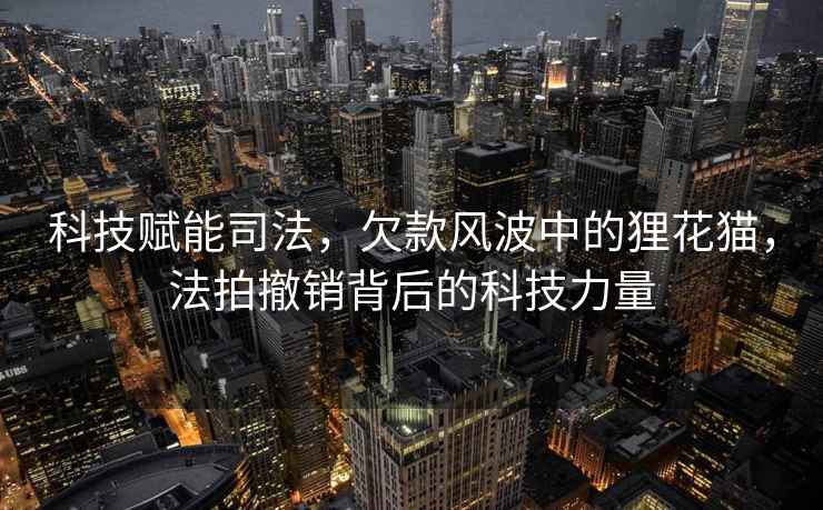 科技賦能司法，欠款風(fēng)波中的貍花貓，法拍撤銷背后的科技力量