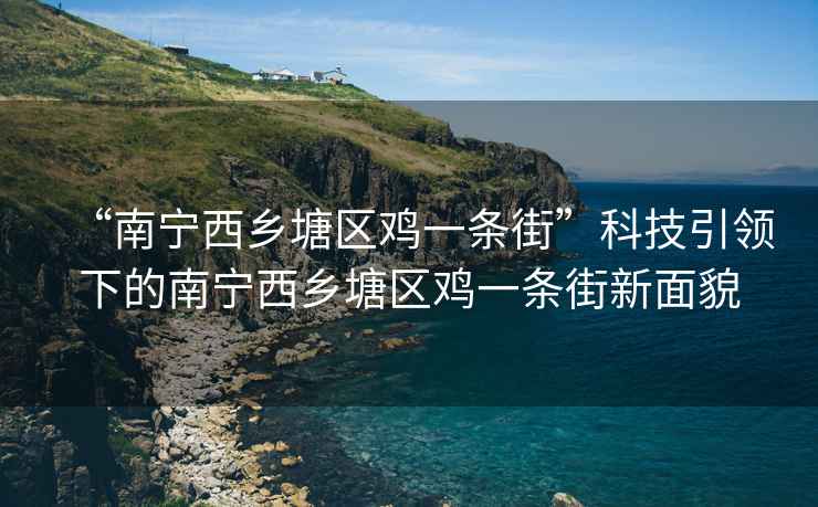 “南寧西鄉(xiāng)塘區(qū)雞一條街”科技引領(lǐng)下的南寧西鄉(xiāng)塘區(qū)雞一條街新面貌