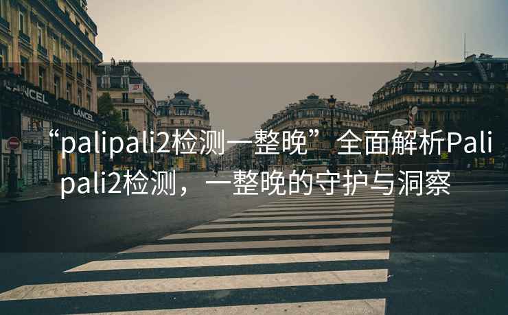 “palipali2檢測一整晚”全面解析Palipali2檢測，一整晚的守護(hù)與洞察